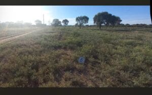 Élite Estudio Inmobiliario Administración, Tasaciones, Alquileres y Ventas con respaldo profesional - San Luis, Argentina